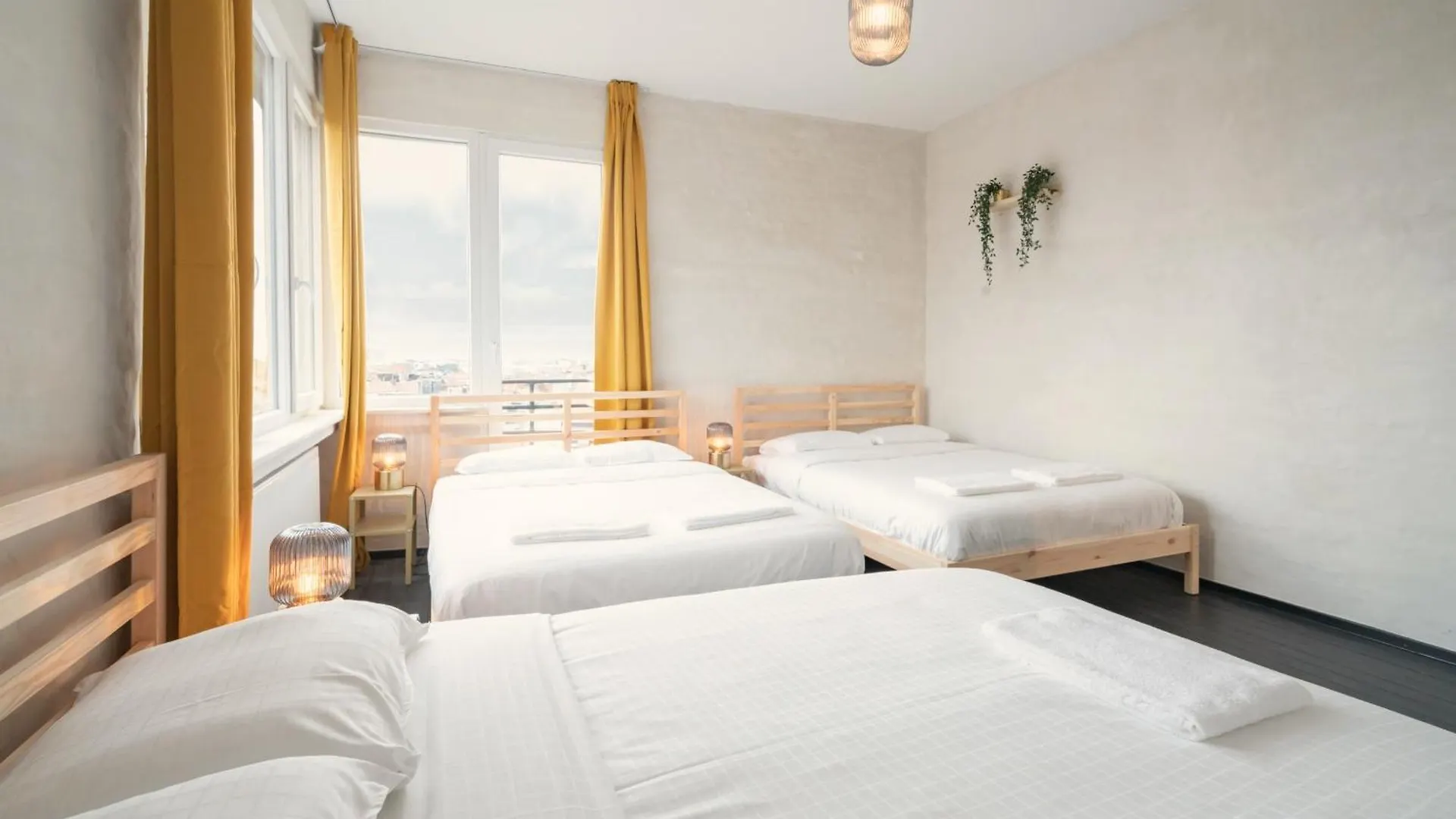 Charming And Spacious Apartments In The Heart Of Antwerpen