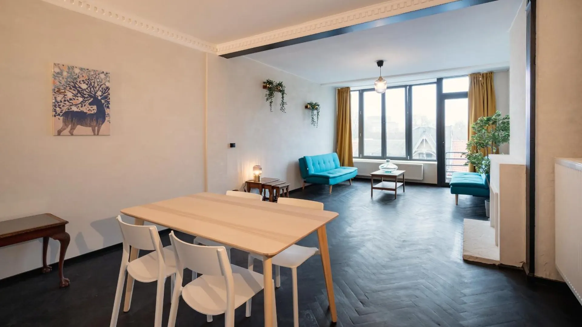 Charming And Spacious Apartments In The Heart Of Antwerpen